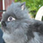 Profile Picture of Hikari Sonna (@breaking lily) on Flickr