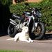 Profile Picture of Ronald Pritchard (@rondpritchard) on Pinterest