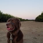 Profile Picture of Nancy Weyburne (@nancyweyburne) on Instagram
