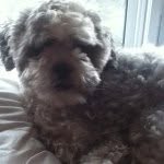 Profile Picture of Julia D (@juliadamiano) on Instagram