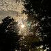 Profile Picture of Tammy Yoder (@yodert) on Pinterest