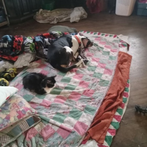 Profile Picture of Renee Spencer (@reneespencer807) on Poshmark