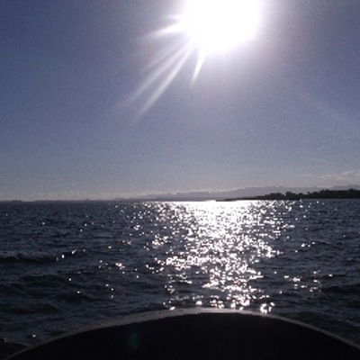 Profile Picture of FIDEL LORA (@FIDELLORA) on Twitter