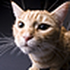 Profile Picture of Keith Todd (@Keith Todd) on Flickr