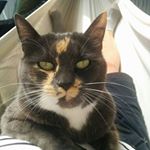 Profile Picture of Carol Bush (@carol.bush.568) on Instagram