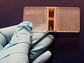 Profile Picture of Hemocytometer - Wikipediaon Wikipedia