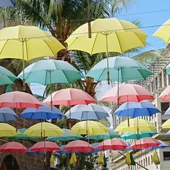 Profile Picture of Anise Allen (@anise.allen) on Tiktok