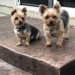 Profile Picture of Dominick Digiovanni (@dominick.digiovanni.2024) on Facebook