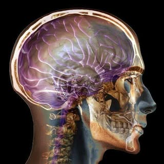 Profile Picture of Eric Musser (@ericmusser) on Instagram