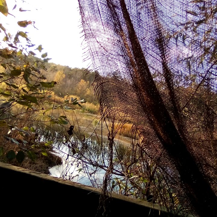 Profile Picture of Chase Mosley (@chase.mosley97) on Tiktok