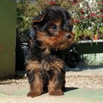 Profile Picture of Aarón Valentí (@aaronch_3) on Instagram