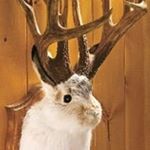 Profile Picture of Mark Tardif (@marktardif) on Instagram