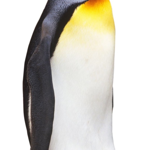 Profile Picture of Alex Skinner (@skinner4223) on Poshmark