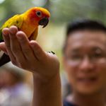 Profile Picture of Peter Liu Shem Hsing (@liushemhsing) on Instagram