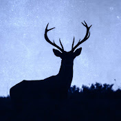Profile Picture of Gavin Roberts (@gavinroberts1546) on Youtube
