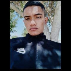 Profile Picture of Alexander Lizama (@alexanderlizama16) on Tiktok