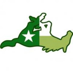 Profile Picture of Todd Samuels (@unt90grad) on Twitter