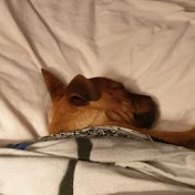 Profile Picture of Dylan Bates (@dylanbates7607) on Youtube