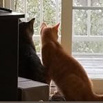 Profile Picture of Olivia and Gus Turner (@olivia_and_gus_on_the_go) on Instagram