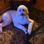 Profile Picture of Roberta Irish (@roberta.irish.7) on Facebook