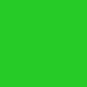 Profile Picture of Stephen Adler (@StephenAdler724) on Youtube