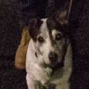 Graham Algie Bell - Facebook Profile Picture of Graham Algie Bell (@grahamalgiebell) on Facebook