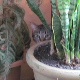 Profile Picture of Harlan Schultz (@harlan.schultz.5) on Facebook