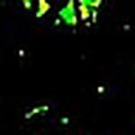 Profile Picture of Amrinder Brar (@amrinder brar) on Flickr