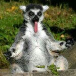 Profile Picture of Bryan Warren (@ratnasambhava) on Instagram