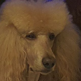 Profile Picture of Denise Authors (@denise.authors) on Facebook