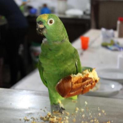 Profile Picture of Benjamin Hesse (@snuugh) on Twitter