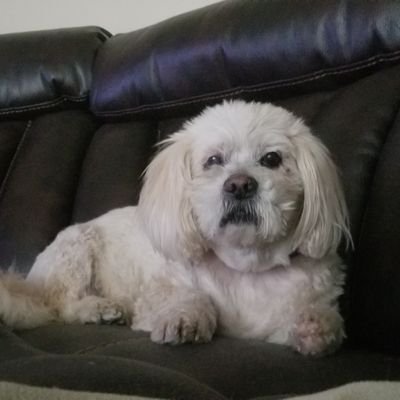 Profile Picture of RealKeithCrossman (@KeithCrossman5) on Twitter