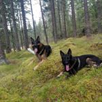 Profile Picture of adam.danielsen (@adam_danielsen) on Instagram