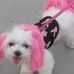 Profile Picture of Nancy Patel (@nancy.patel.509994) on Facebook