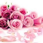 Profile Picture of Beverly Ponder (@beverly.ponder.7) on Instagram