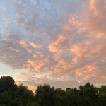 Profile Picture of David Cornett (@davidc_flicks) on Instagram