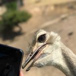 Profile Picture of bradley_gaunt (@bradley_gaunt) on Instagram