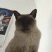 Profile Picture of Zack Caton (@zack.caton.7) on Facebook