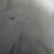Profile Picture of Casey / Cool (@Danika-s4h) on Youtube
