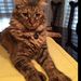 Profile Picture of Ruby Fowler (@swtbby27) on Pinterest