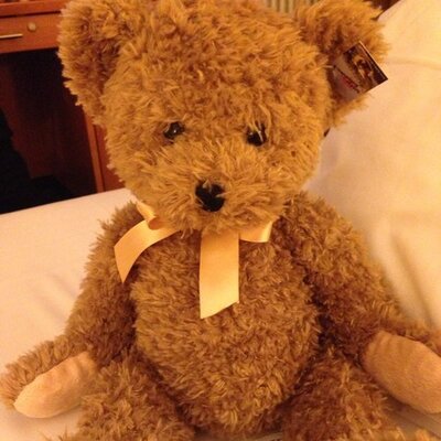 Profile Picture of Fang Lu (@Chihfanglu) on Twitter