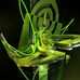 Profile Picture of Arlt Niklas (@arlt.niklas) on Facebook