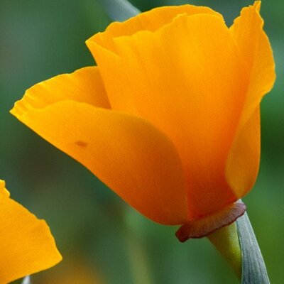 Profile Picture of Sue Dupont (@dupont_sue) on Twitter