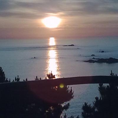 Profile Picture of Mark Brockway (@gsy_brockers) on Twitter