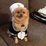 Profile Picture of Ralph Vitale (@ralphvitale3) on Instagram