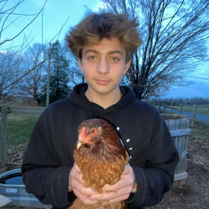 Profile Picture of brett (@1brett) on Tiktok