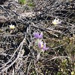 Profile Picture of Albert Gordon (@albertgordon5219) on Instagram