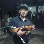 Profile Picture of Carlos Santillanes (@carlos.santillanes.71) on Instagram