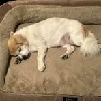 Profile Picture of David Nettles (@david.nettles.338) on Facebook