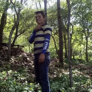 Profile Picture of Lester Alexander (@alexander.lester) on Instagram